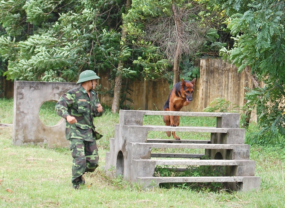 Vượt chướng ngại vật.